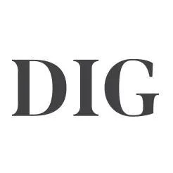 digdesignstudiome.com's icon