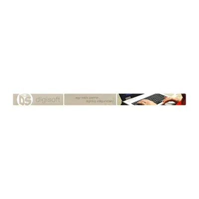 DigiSoft's icon