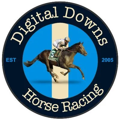 digitaldowns.live's icon
