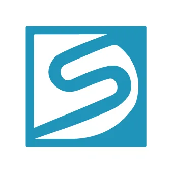 digitalsolutions.com.pk's icon