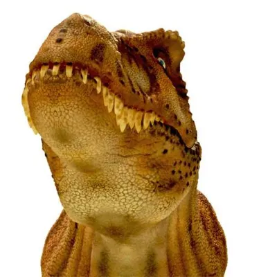 digitonepictures.com's icon