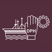 dilpasand.com's icon