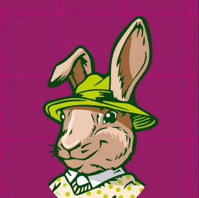 dimdini.lv's icon