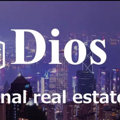 dios.co.jp's icon