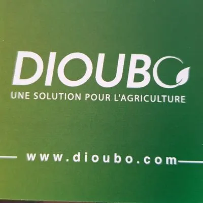 dioubo.com's icon