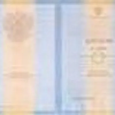 diplomisbayerz.com's icon