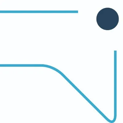 directsens.com's icon