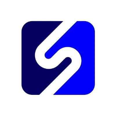 directskills.com's icon