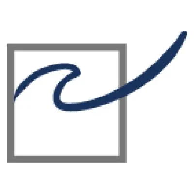 disa-international.com's icon