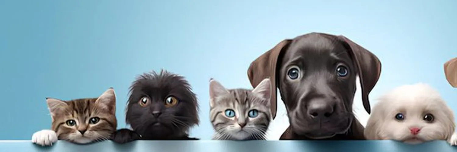 Discountpetcare banner