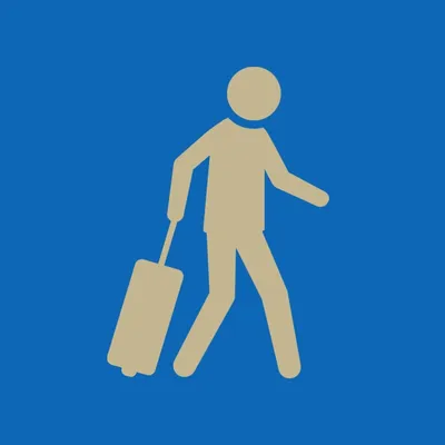 discovermadeiraisland.com's icon