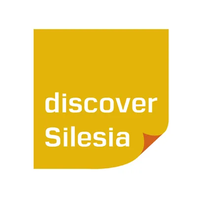 discoversilesia.pl's icon