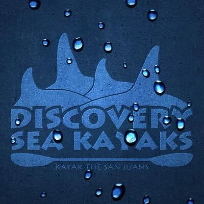 discoveryseakayak.com's icon