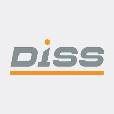 diss.com.qa's icon
