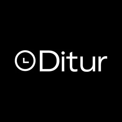 ditur.de's icon