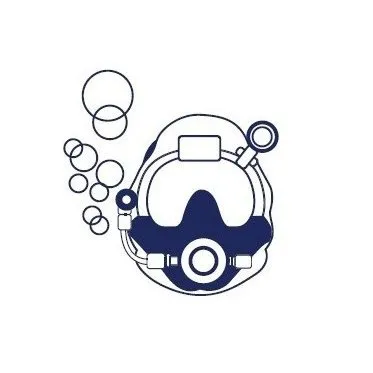 diverbv.com's icon