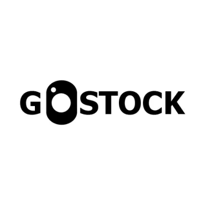 dividestock.com's icon