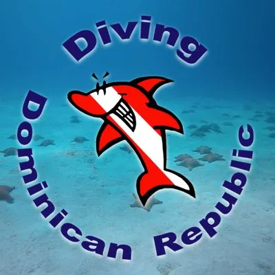 divingdr.com's icon