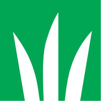 dlf.ie's icon