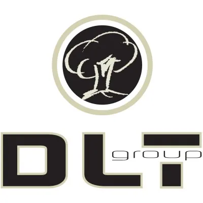 dlt-group.dk's icon