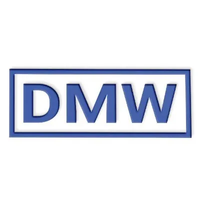 dmw-eng.com's icon
