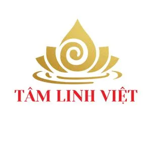 docungtamlinhviet.com's icon