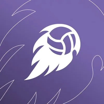 dodgeball.sa's icon