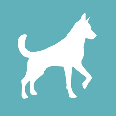 dog-point.cz's icon