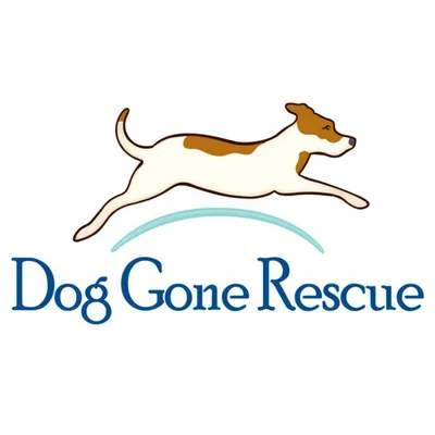 doggonerescue.com's icon