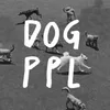 DP  Avatar