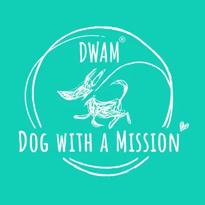 dogwithamission.com's icon