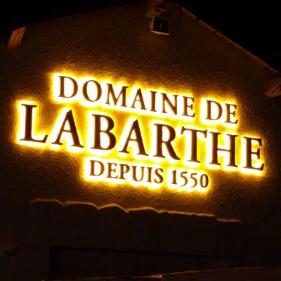 domaine-labarthe.com's icon
