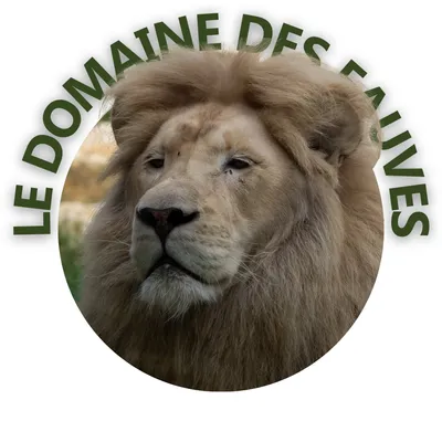 domainedesfauves.com's icon
