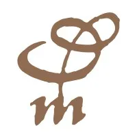 domainemessier.com's icon