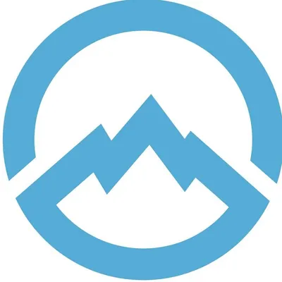 domex.co.nz's icon