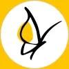 domicilbern.ch's icon
