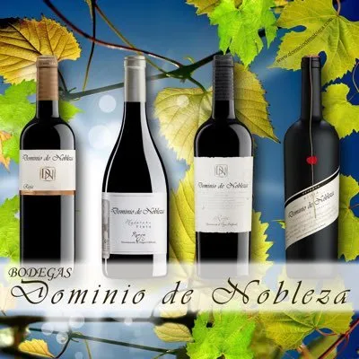 dominiodenobleza.com's icon