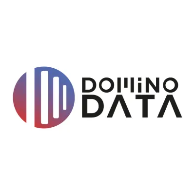Domino Data sp. z o.o.