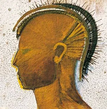 domusaurea.cl's icon