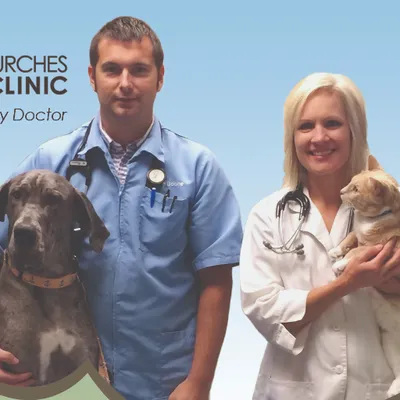 doublechurchesanimalclinic.com's icon