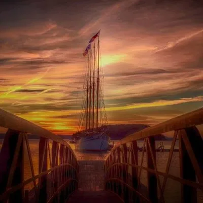 downeastwindjammer.com's icon