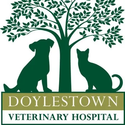 doylestownveterinaryhospital.com's icon