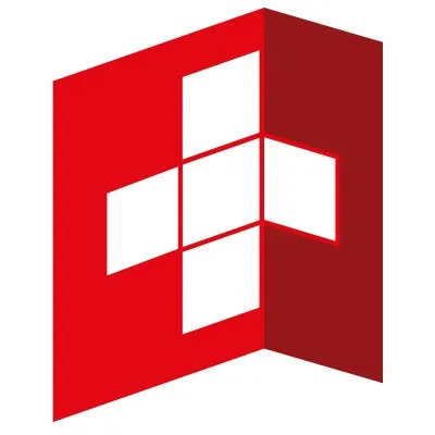 dpsuisse.ch's icon