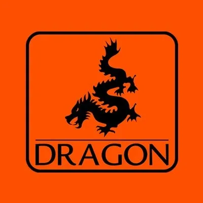 dragon.com.pl's icon