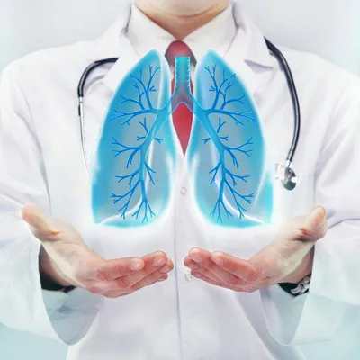 drcandora.com's icon