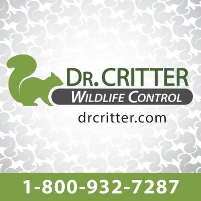 drcritter.com's icon