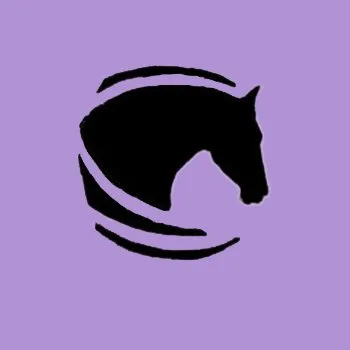 dreamhorse.com's icon