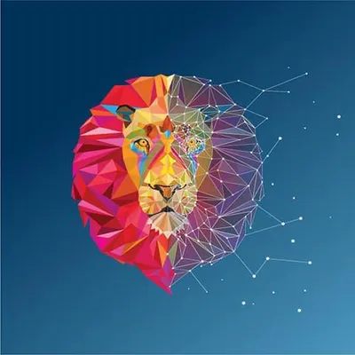dreamvise.com's icon