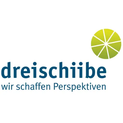 dreischiibe.ch's icon
