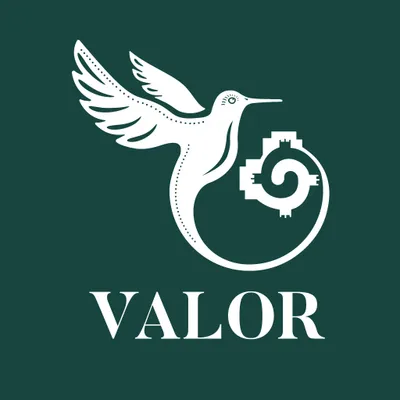drinkvalor.com's icon